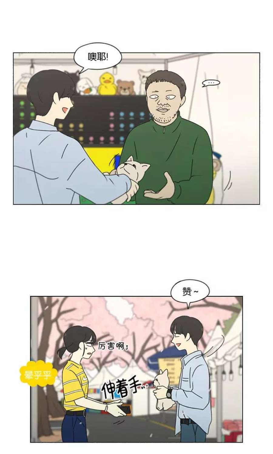 51.jpg