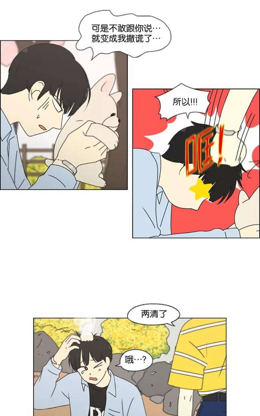 15.jpg