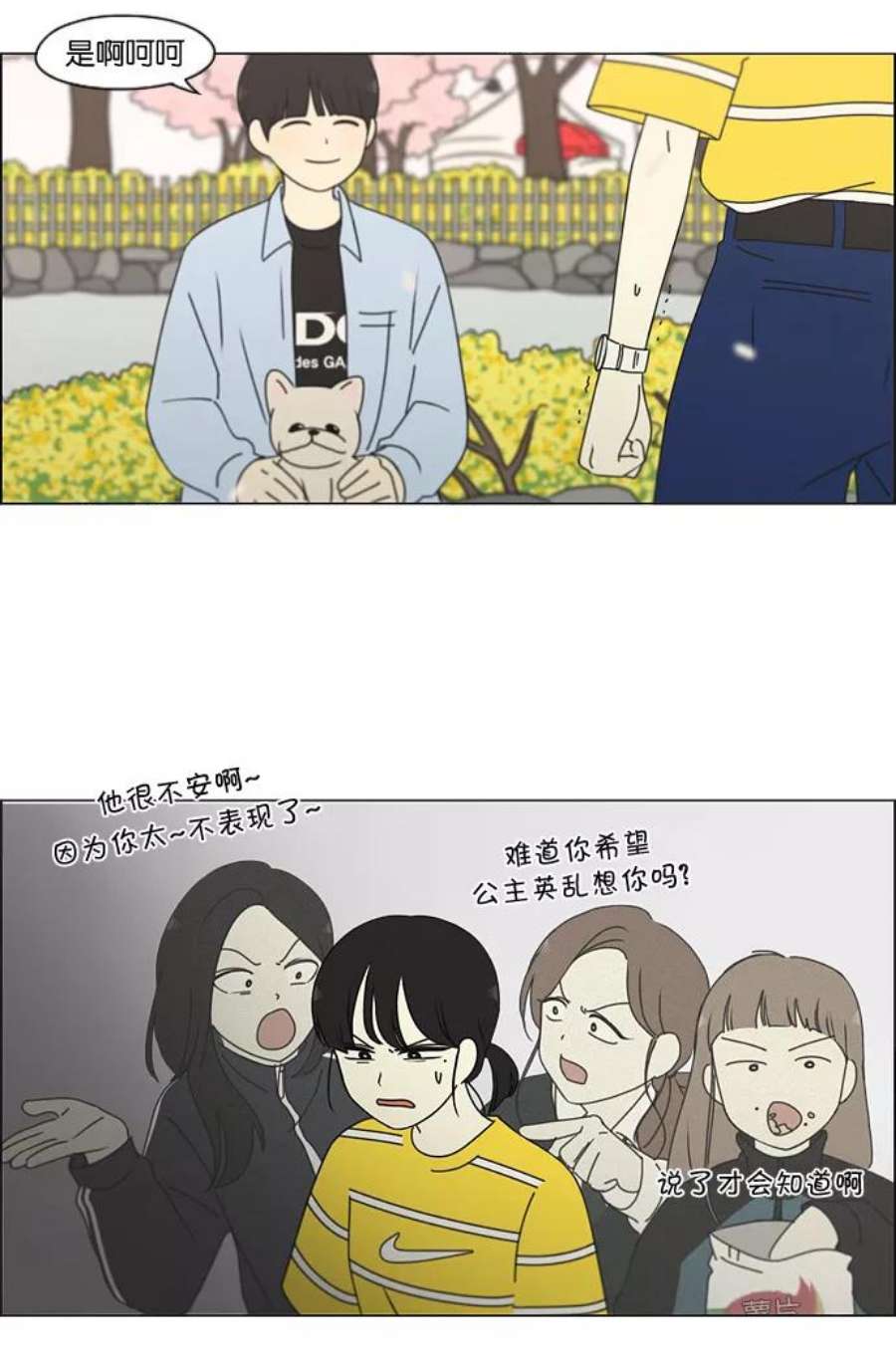 23.jpg