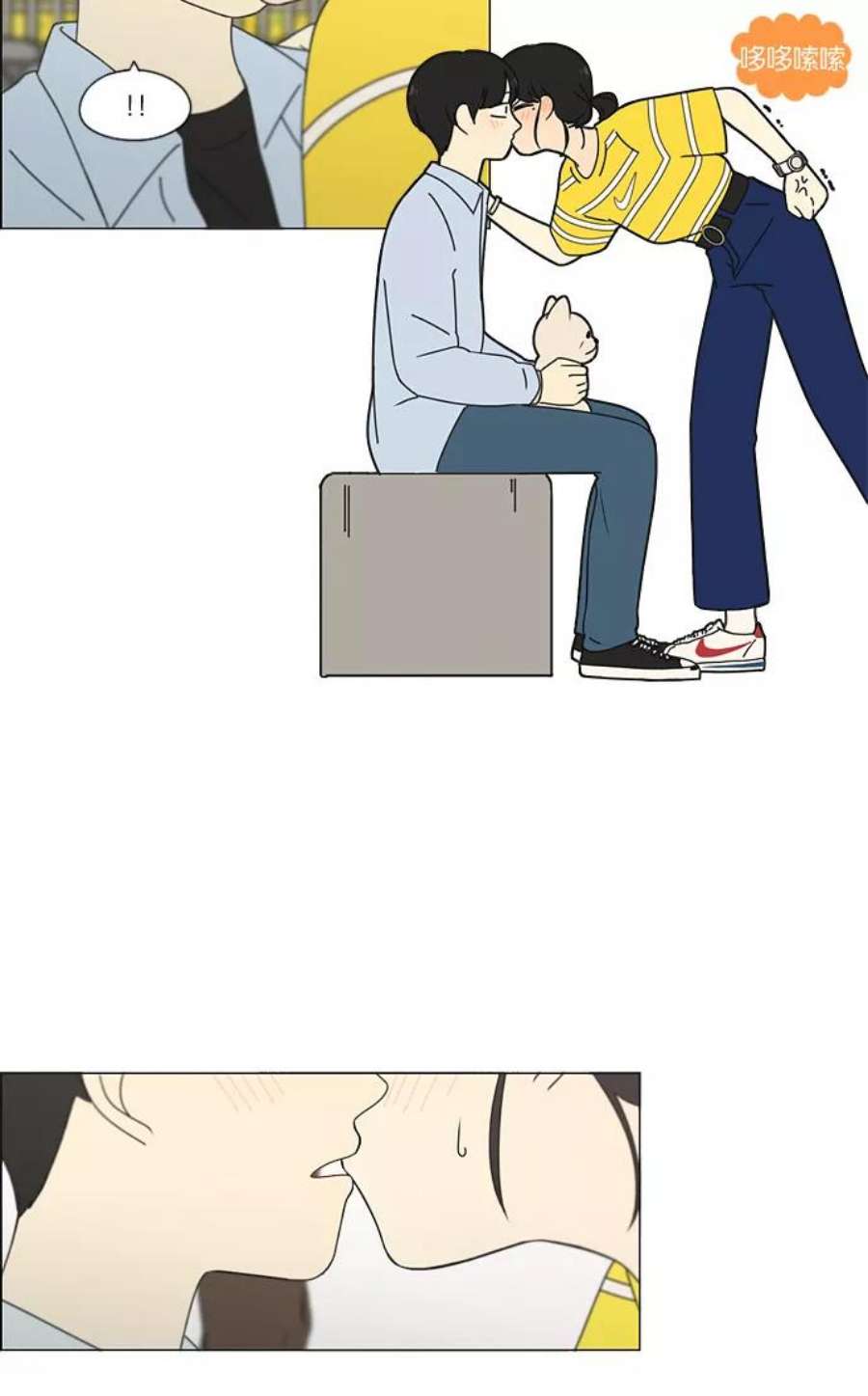 29.jpg