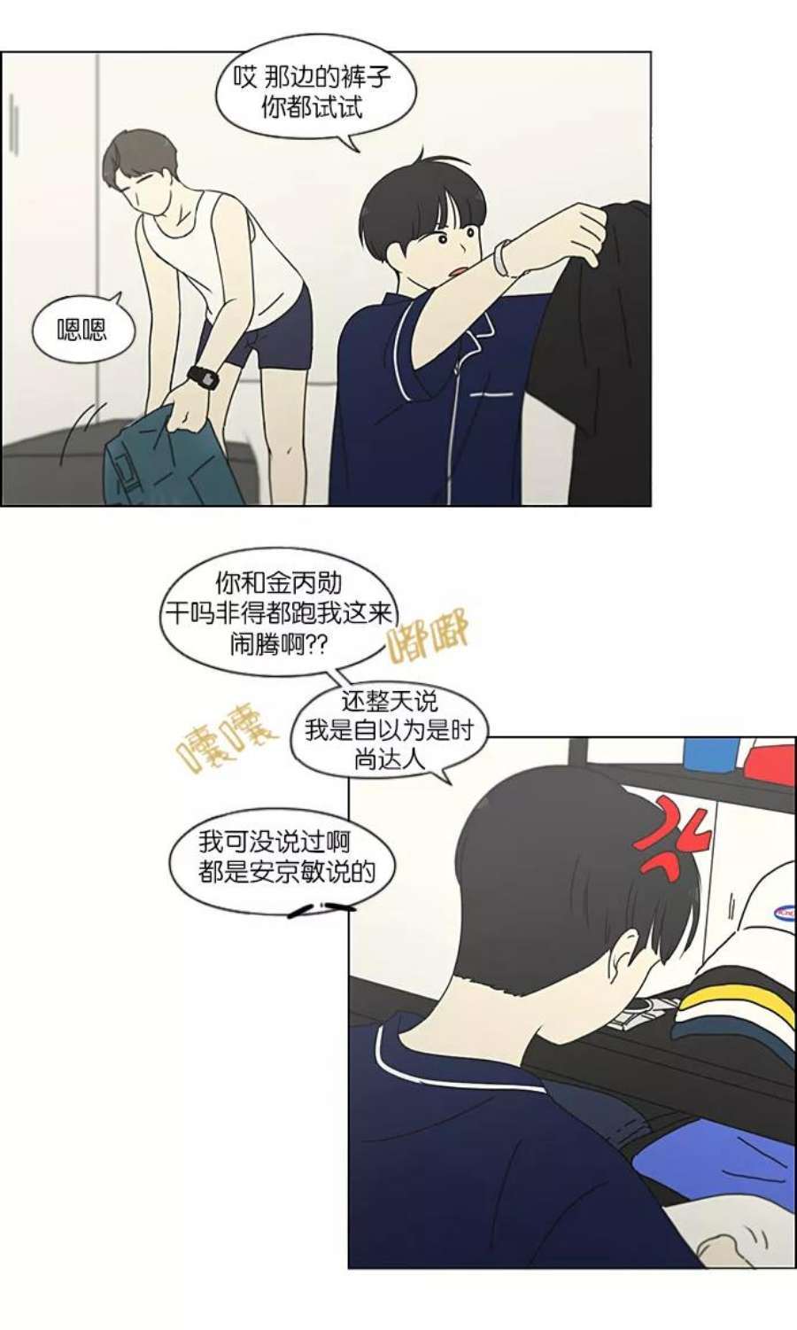 29.jpg