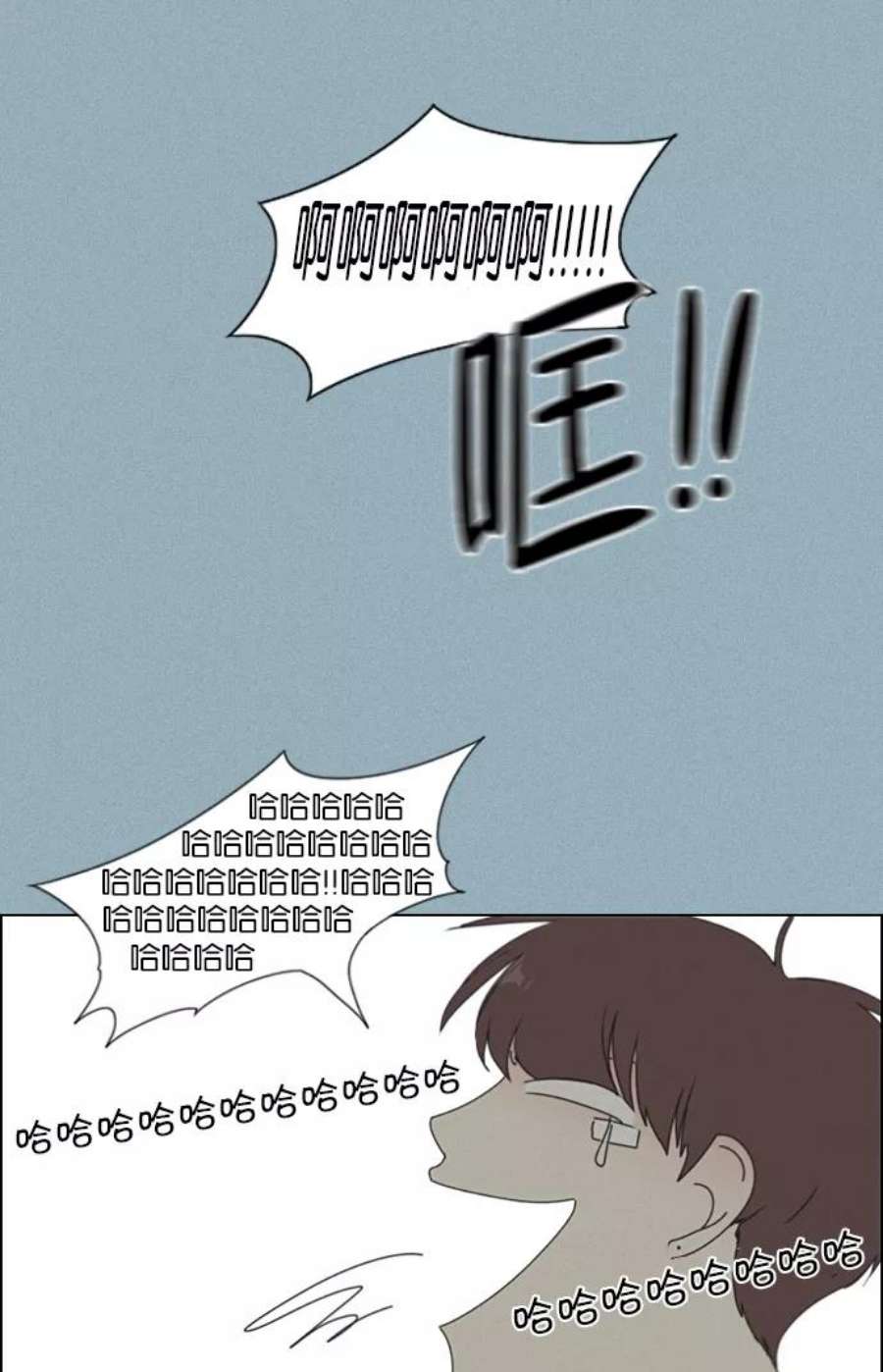 48.jpg