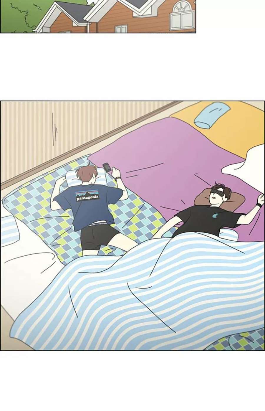 26.jpg