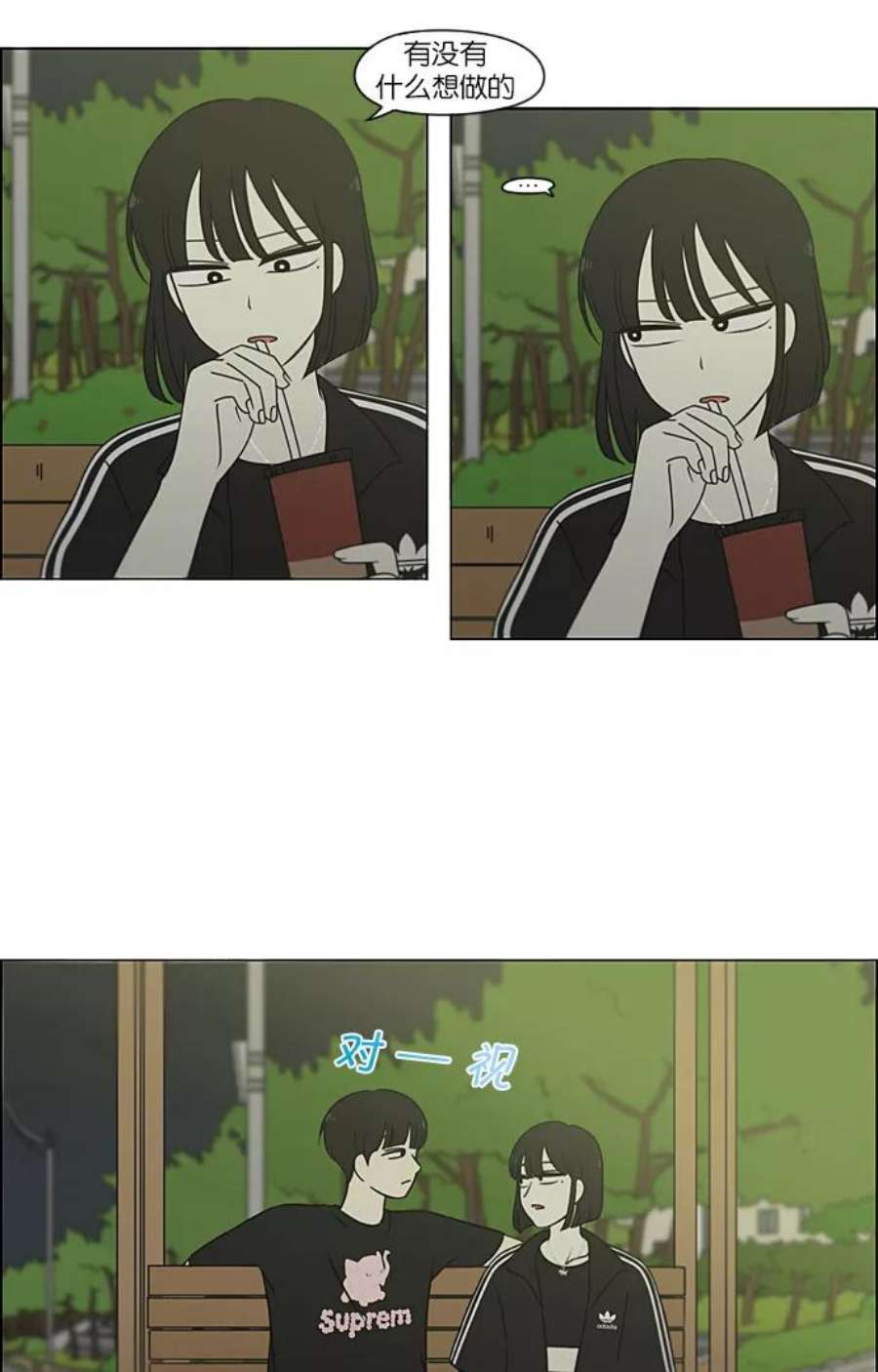 17.jpg
