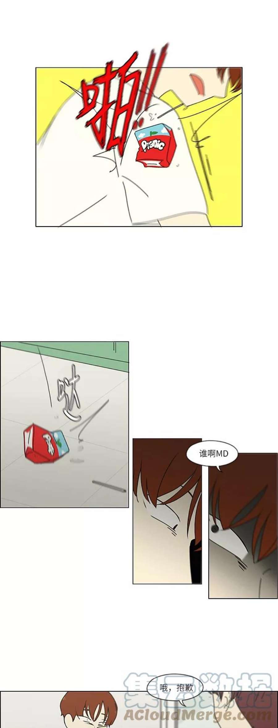 31.jpg