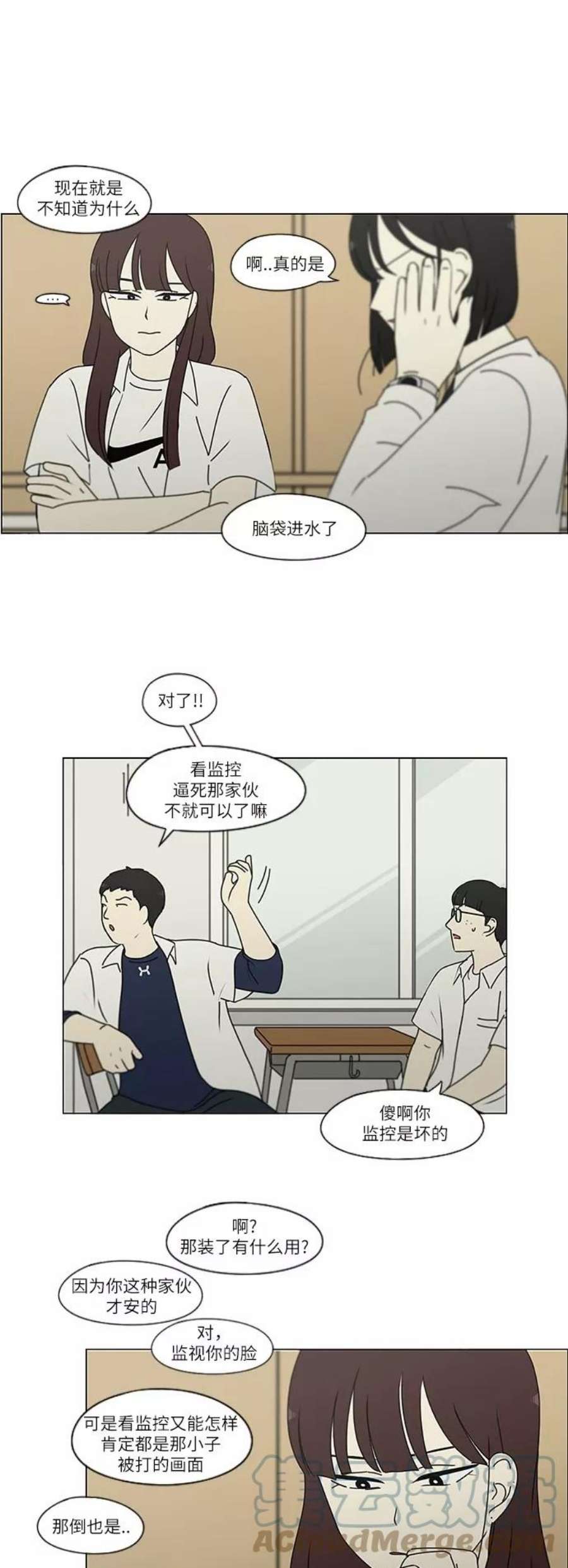 25.jpg