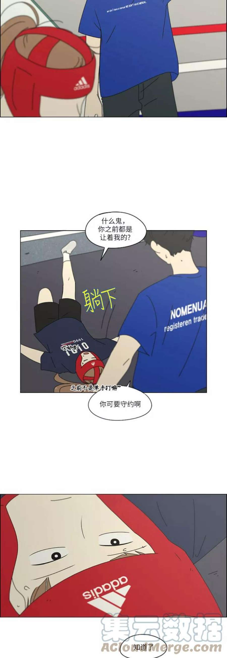 15.jpg