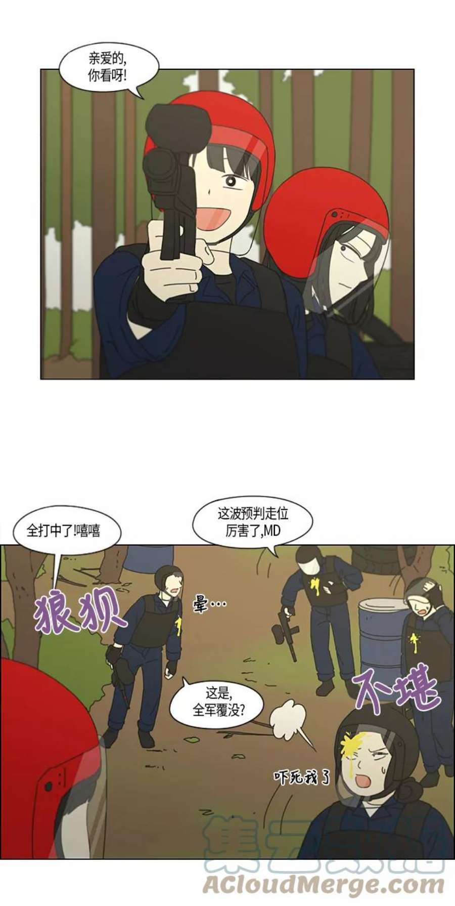 17.jpg