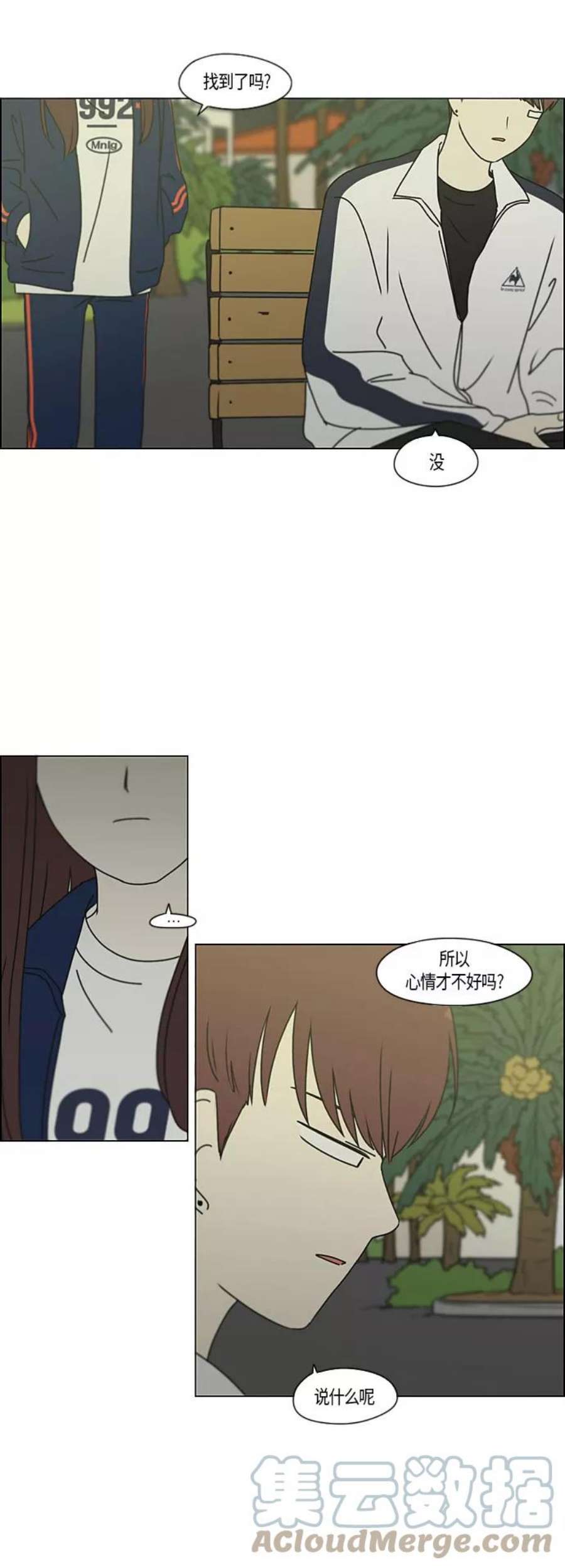 35.jpg