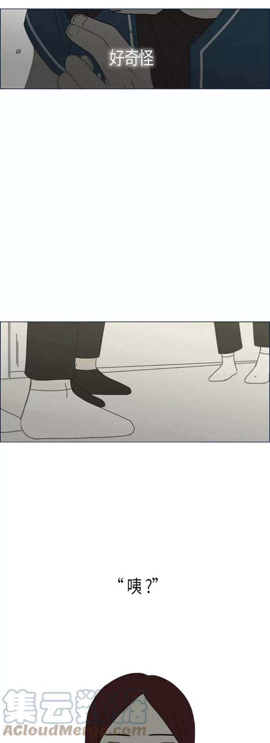 31.jpg