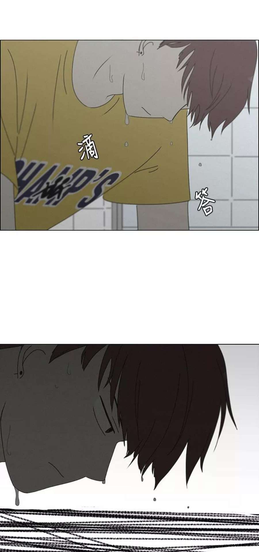 41.jpg