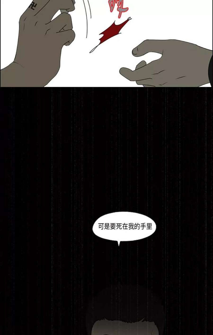 51.jpg