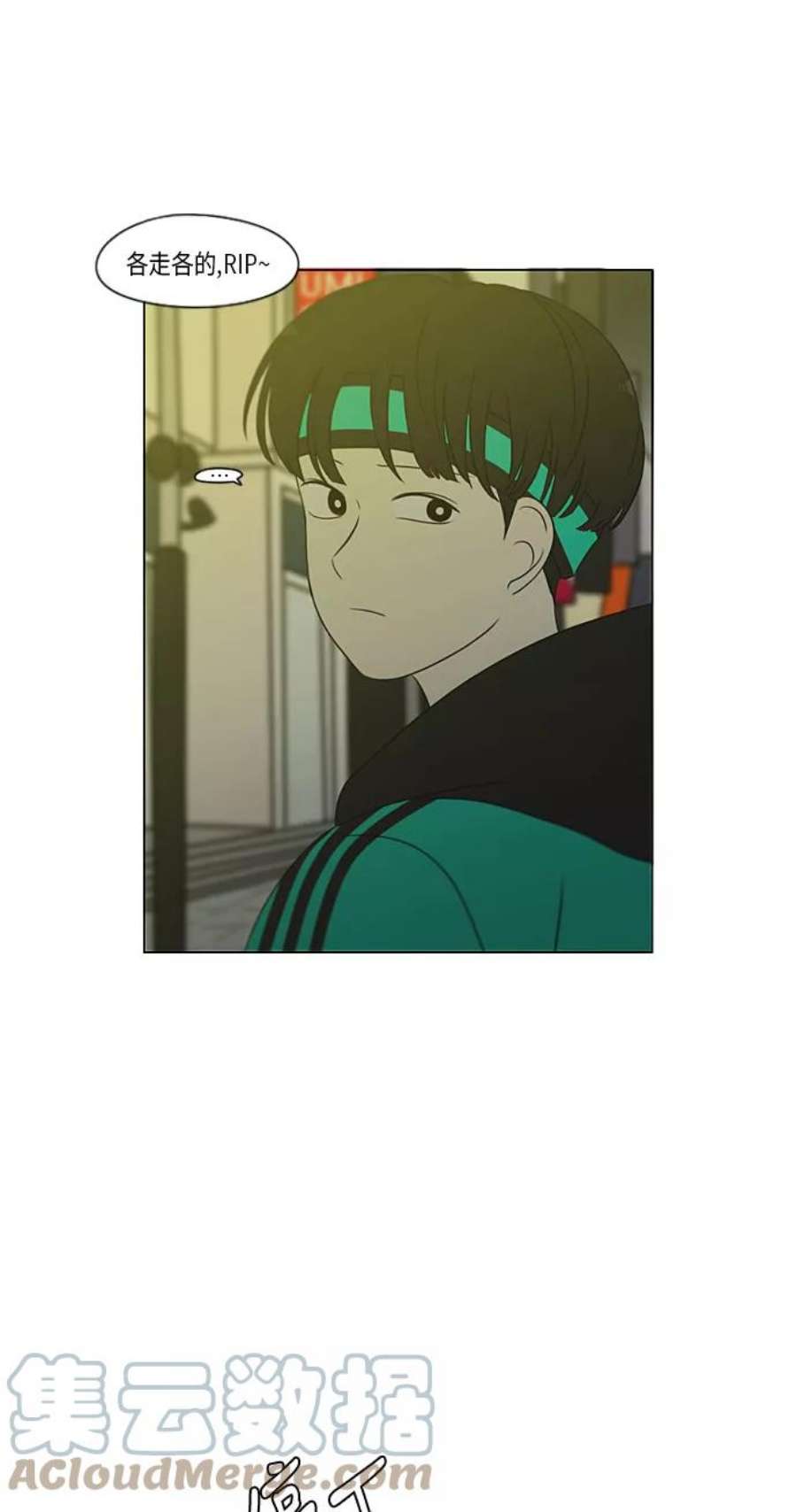 46.jpg