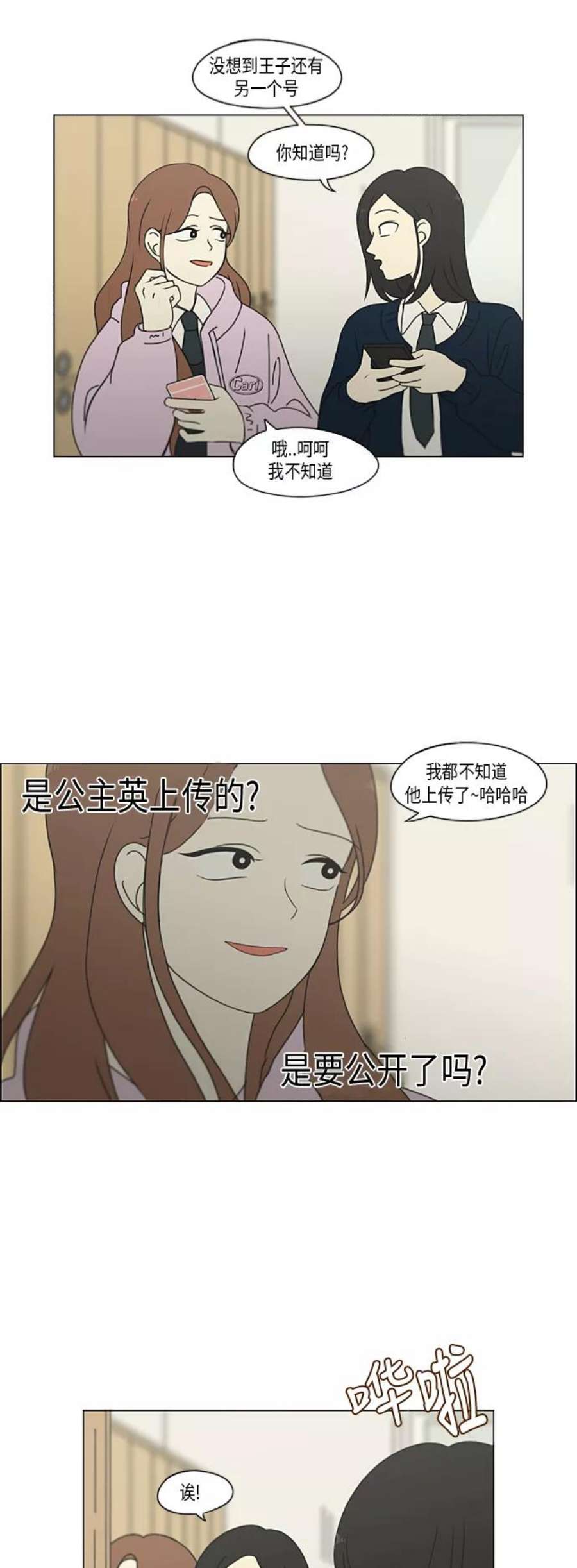 29.jpg