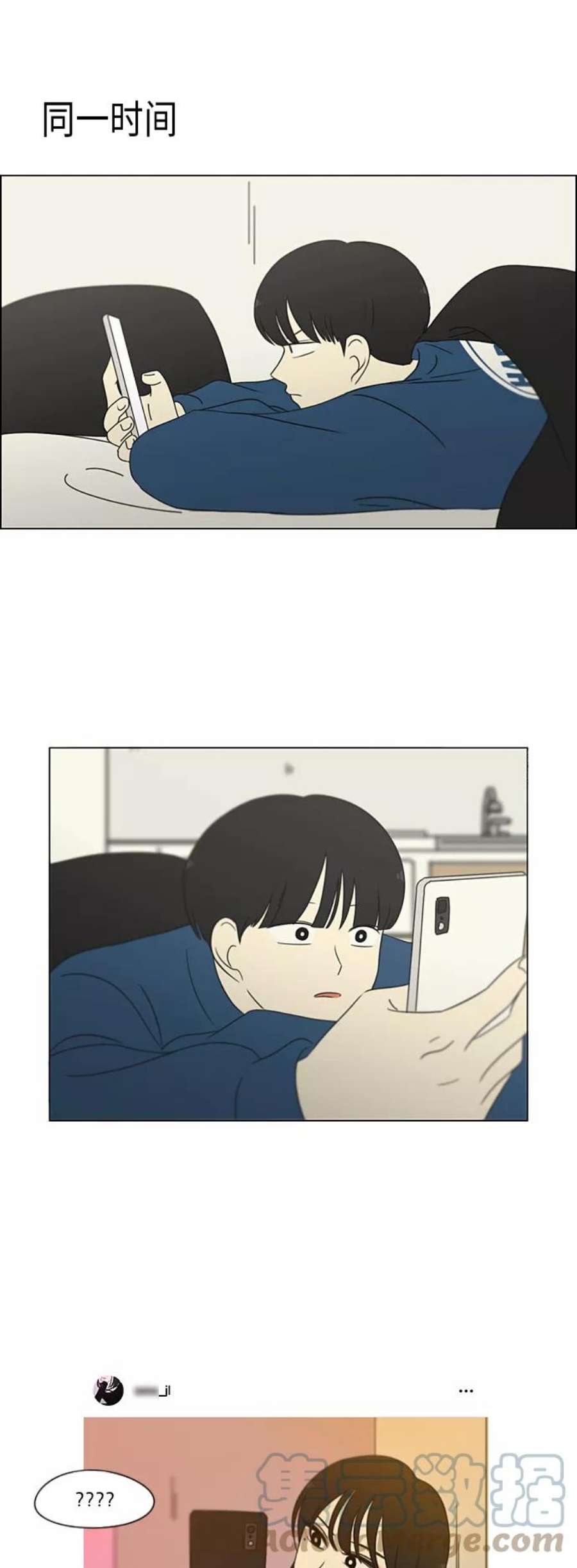 43.jpg