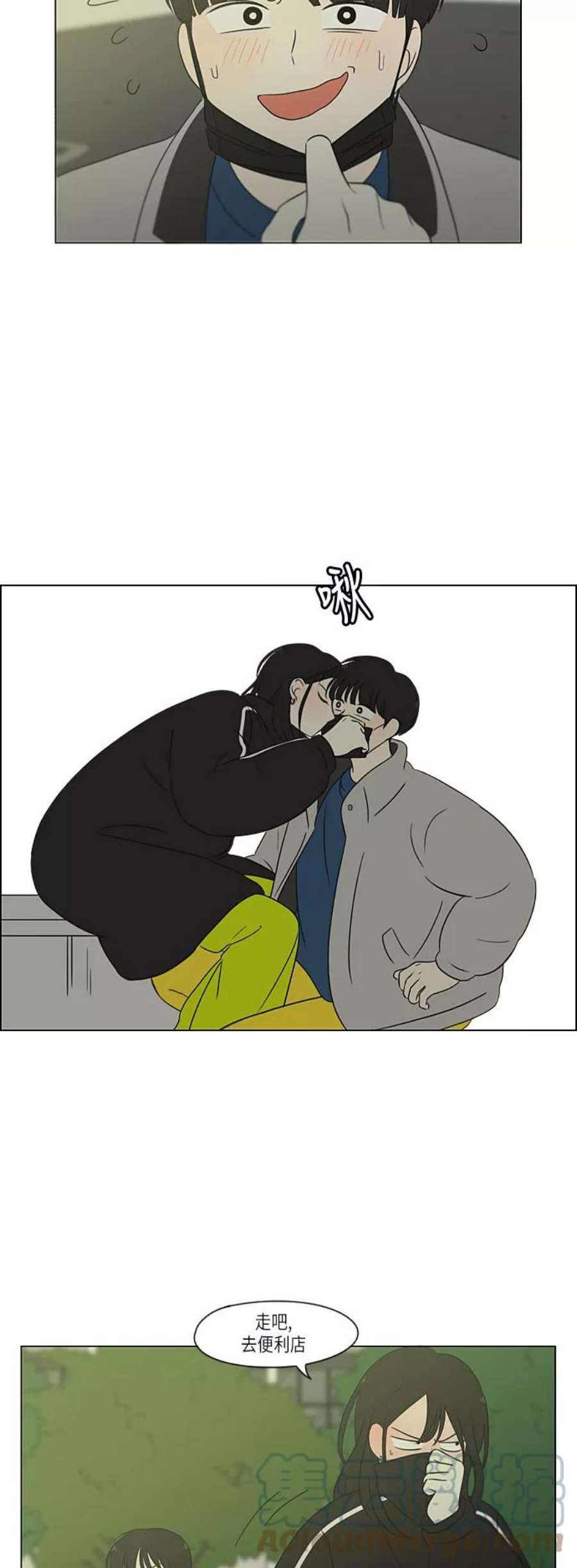 31.jpg