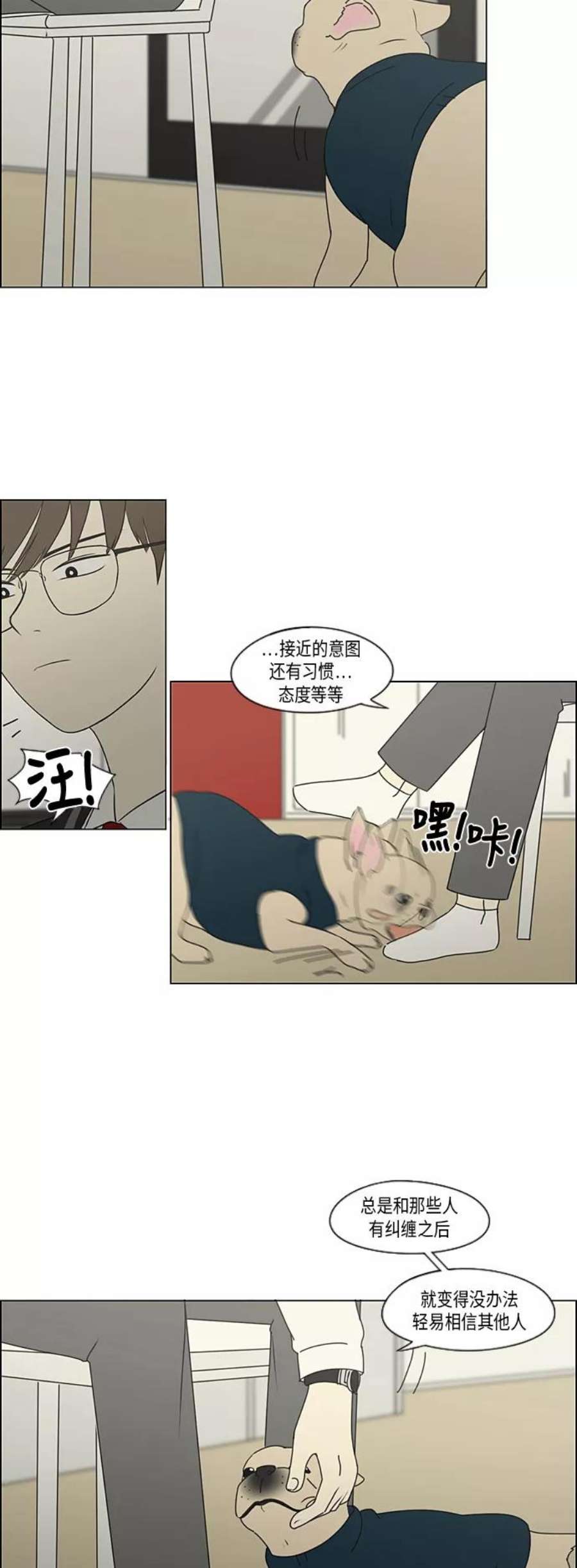 35.jpg