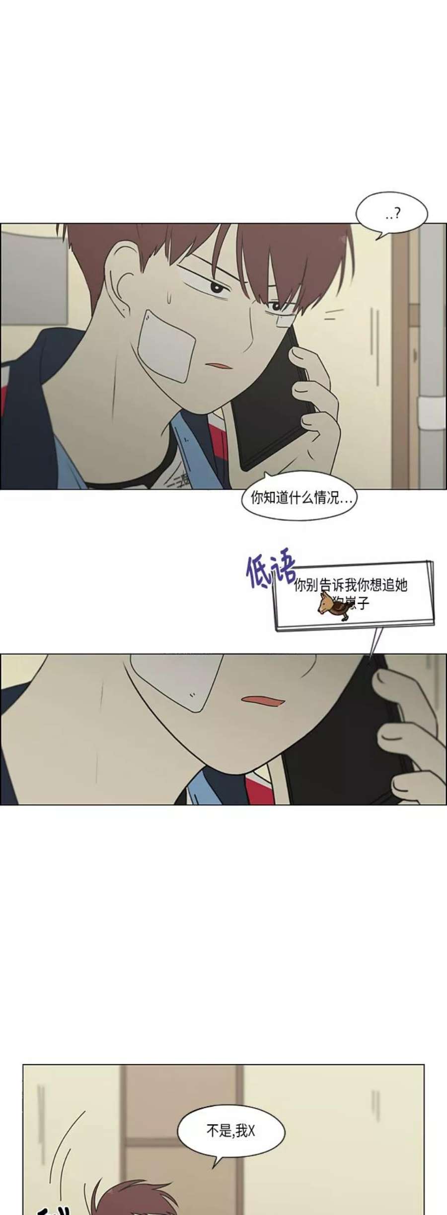 26.jpg