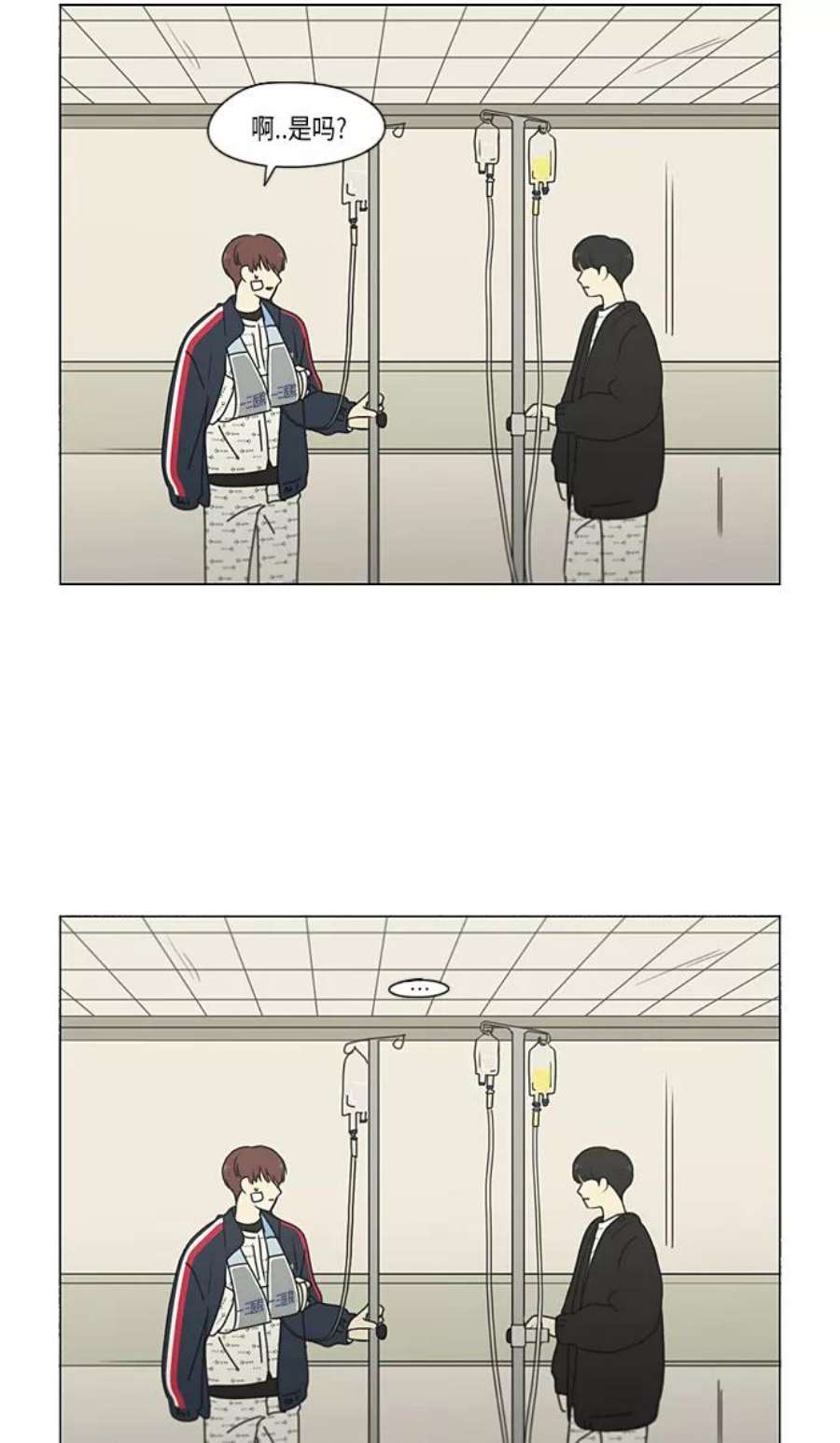 47.jpg