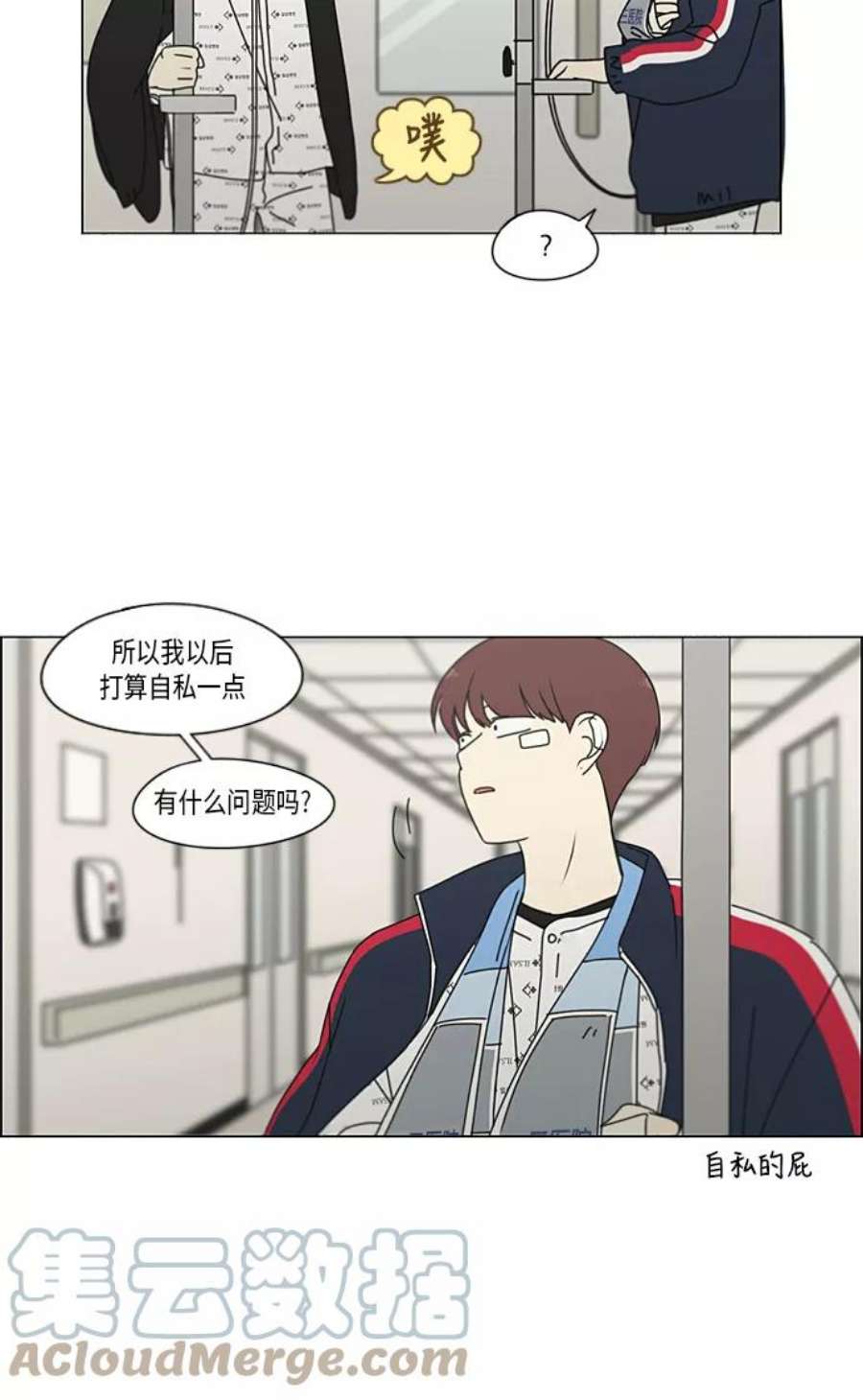 43.jpg