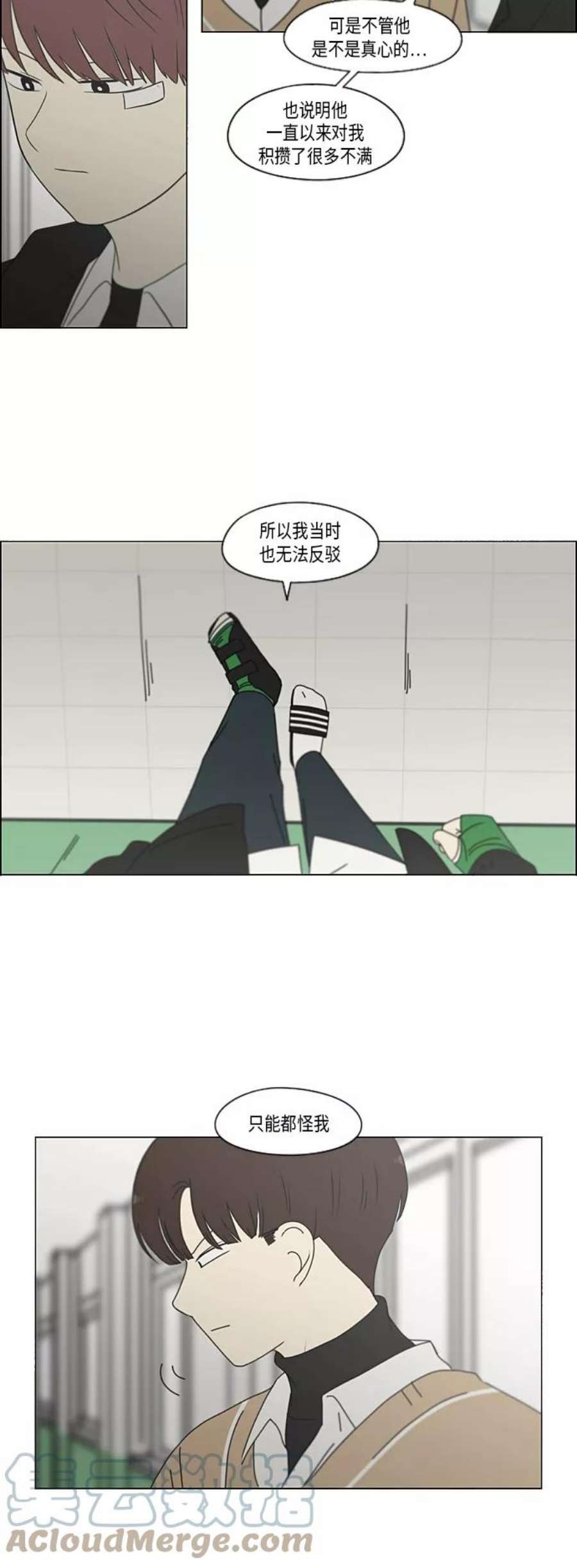 17.jpg