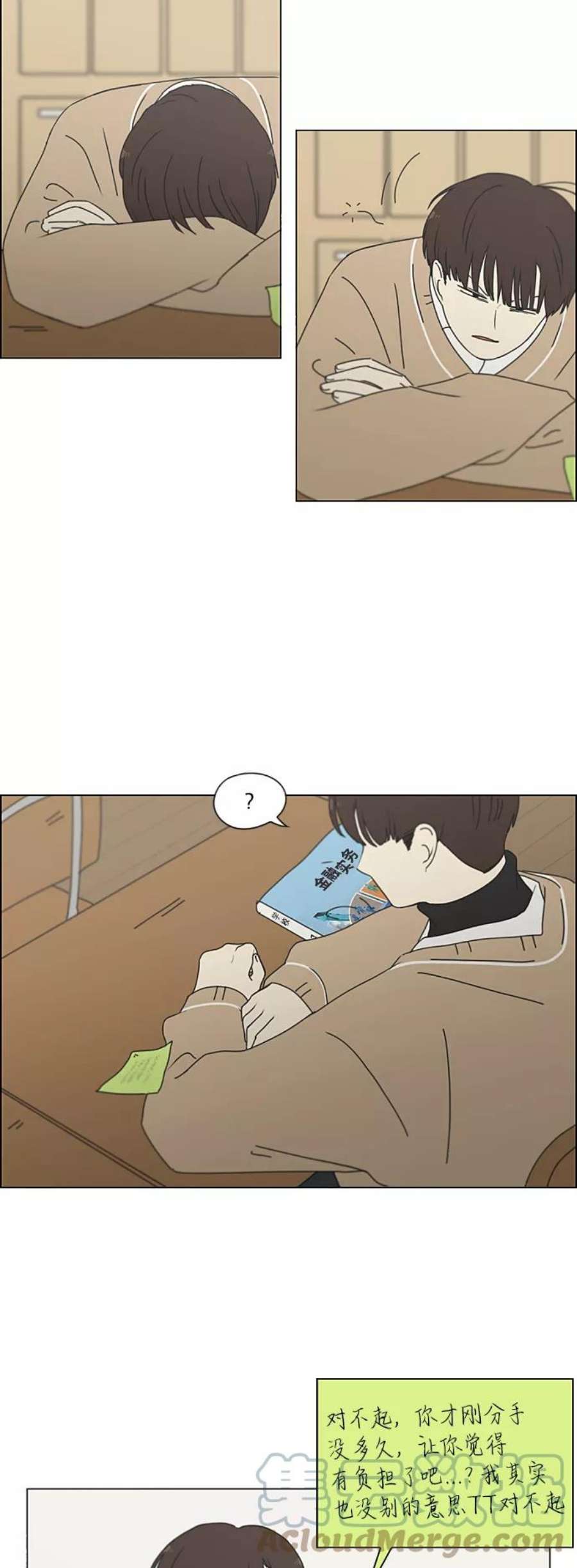 29.jpg
