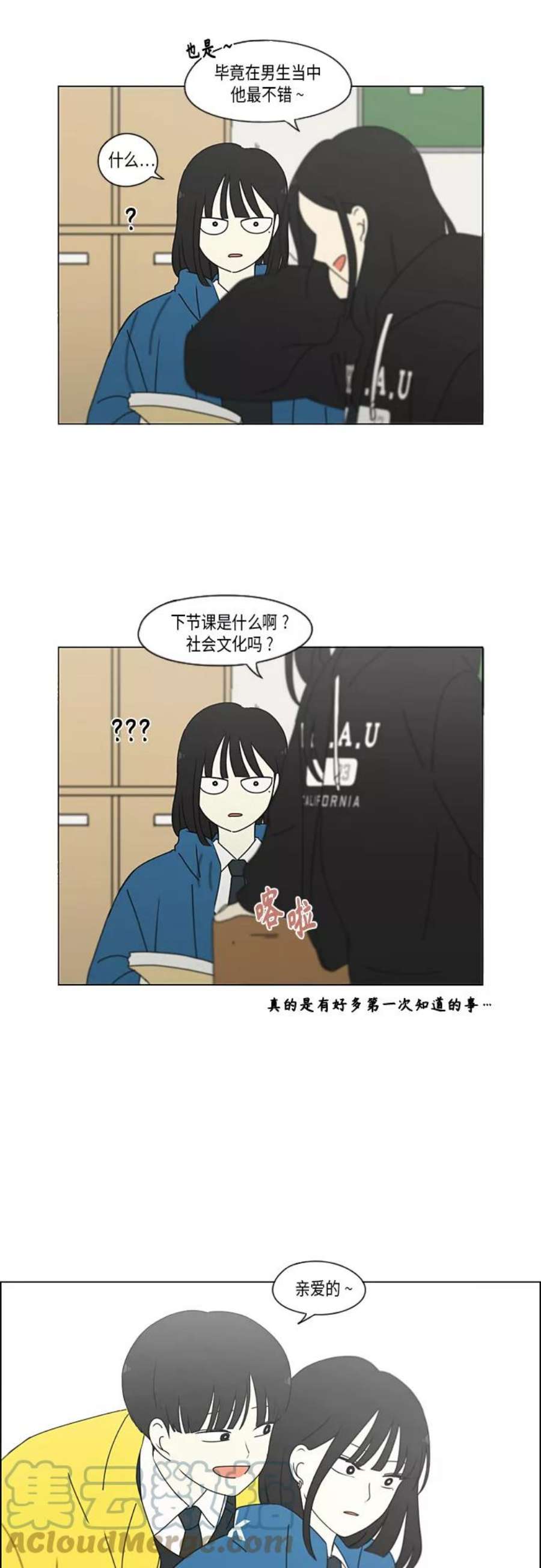 19.jpg