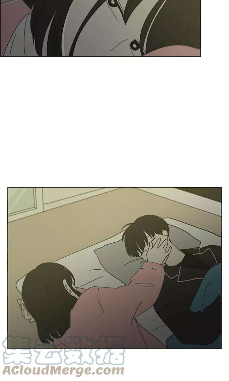 43.jpg
