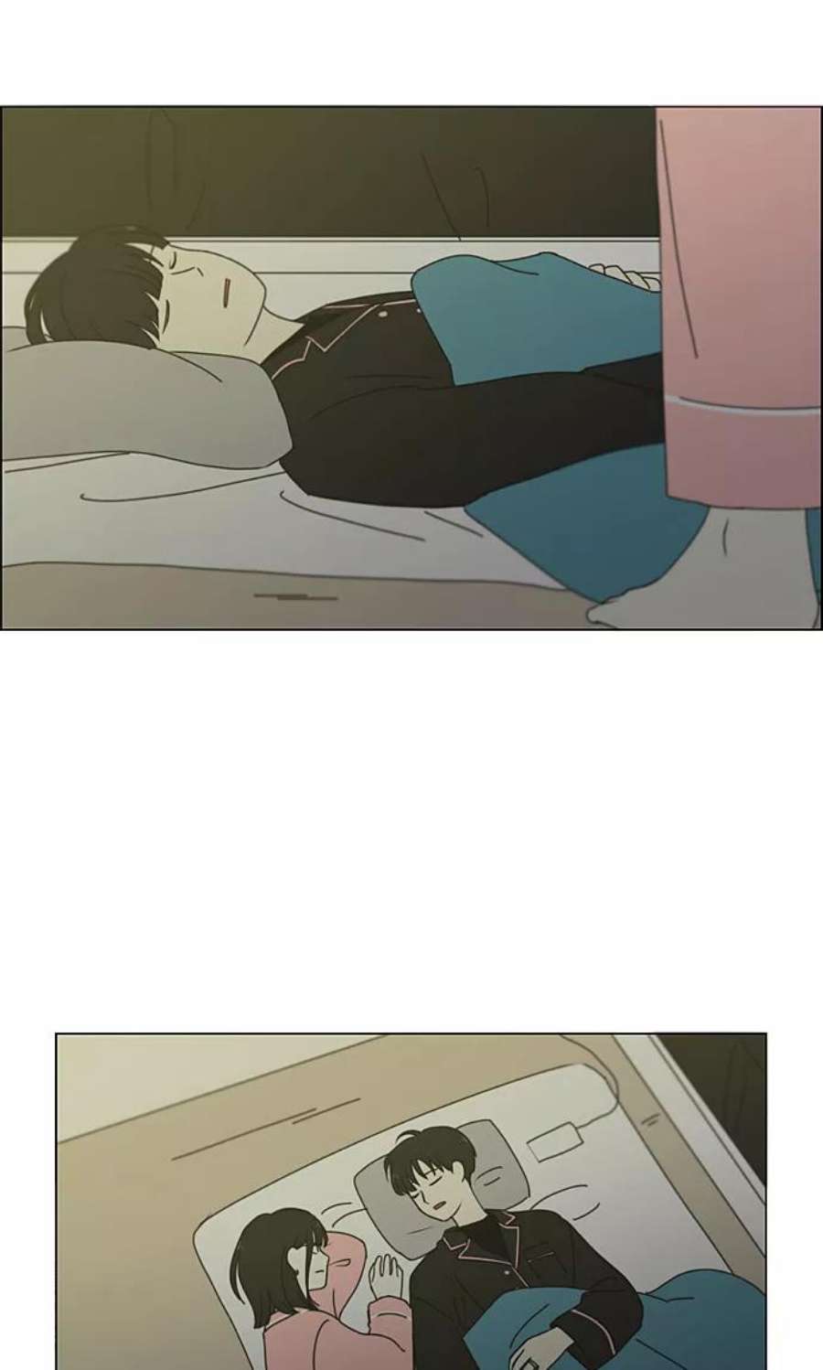 41.jpg