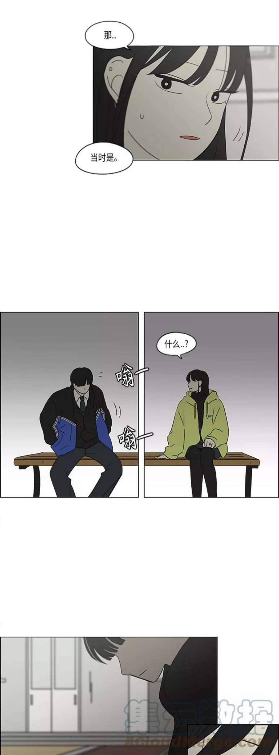 41.jpg