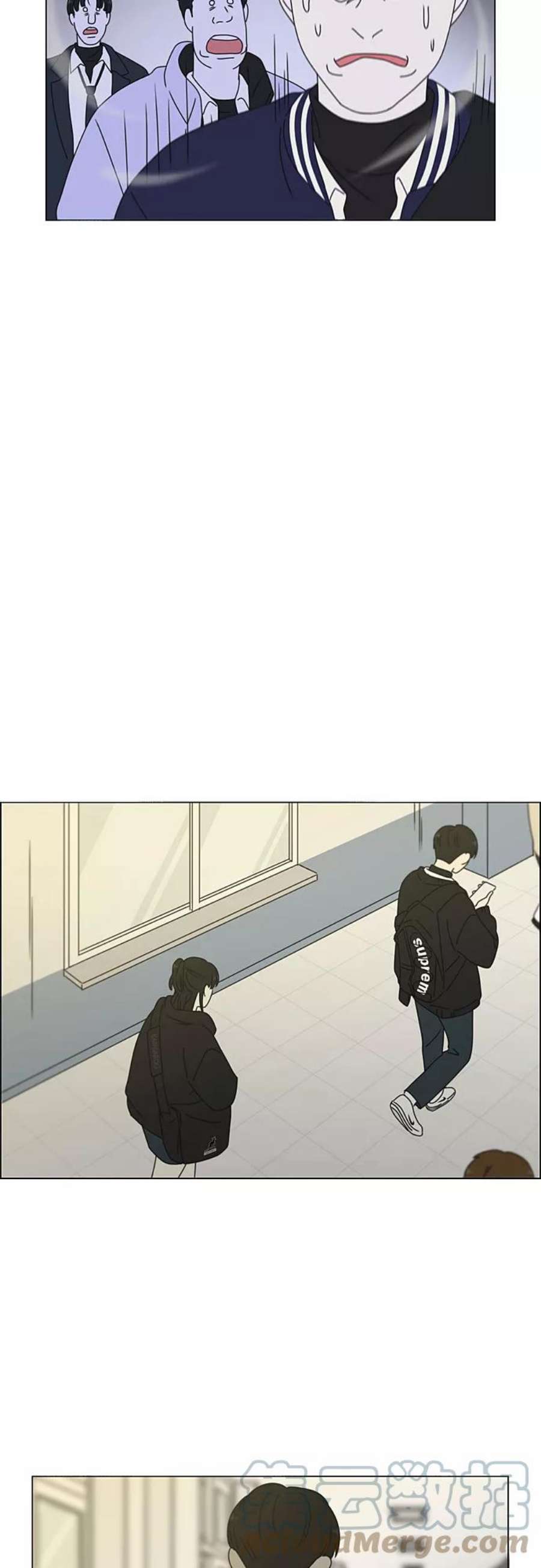 43.jpg