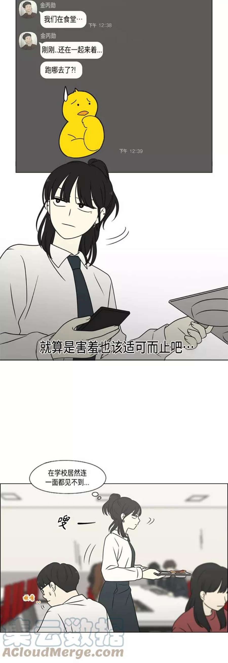 25.jpg