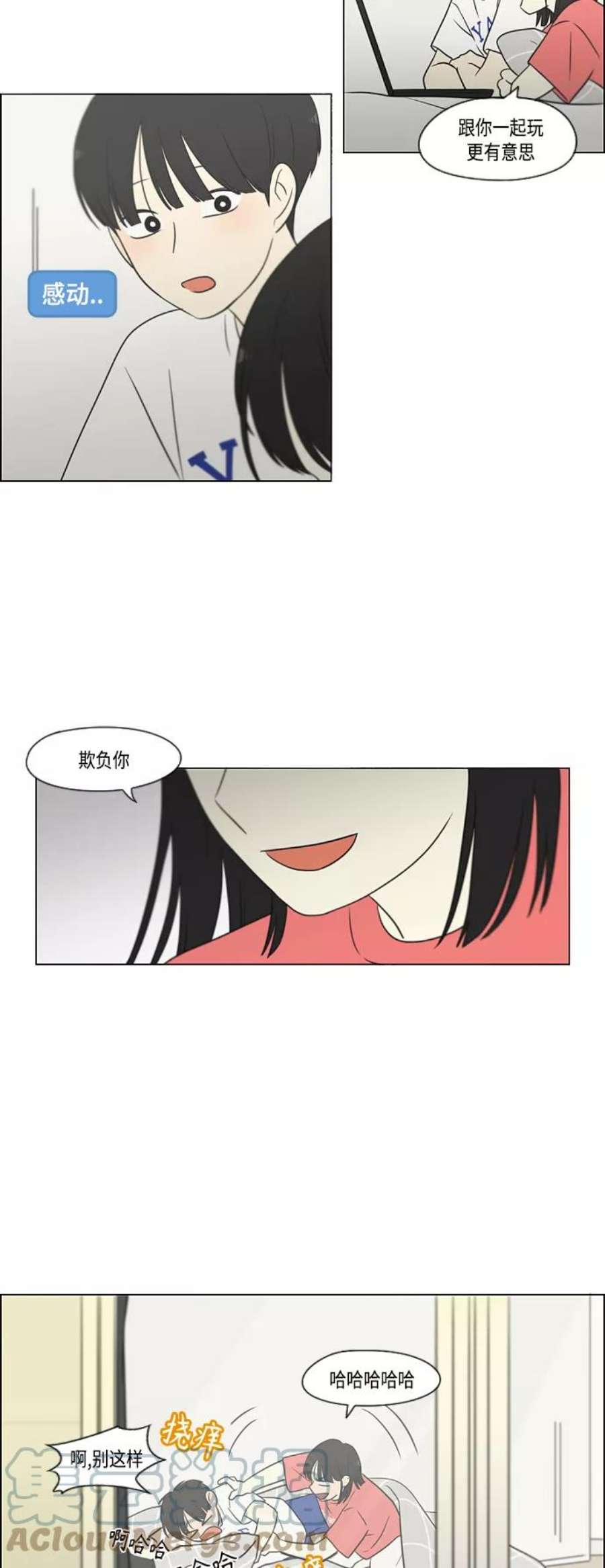 46.jpg