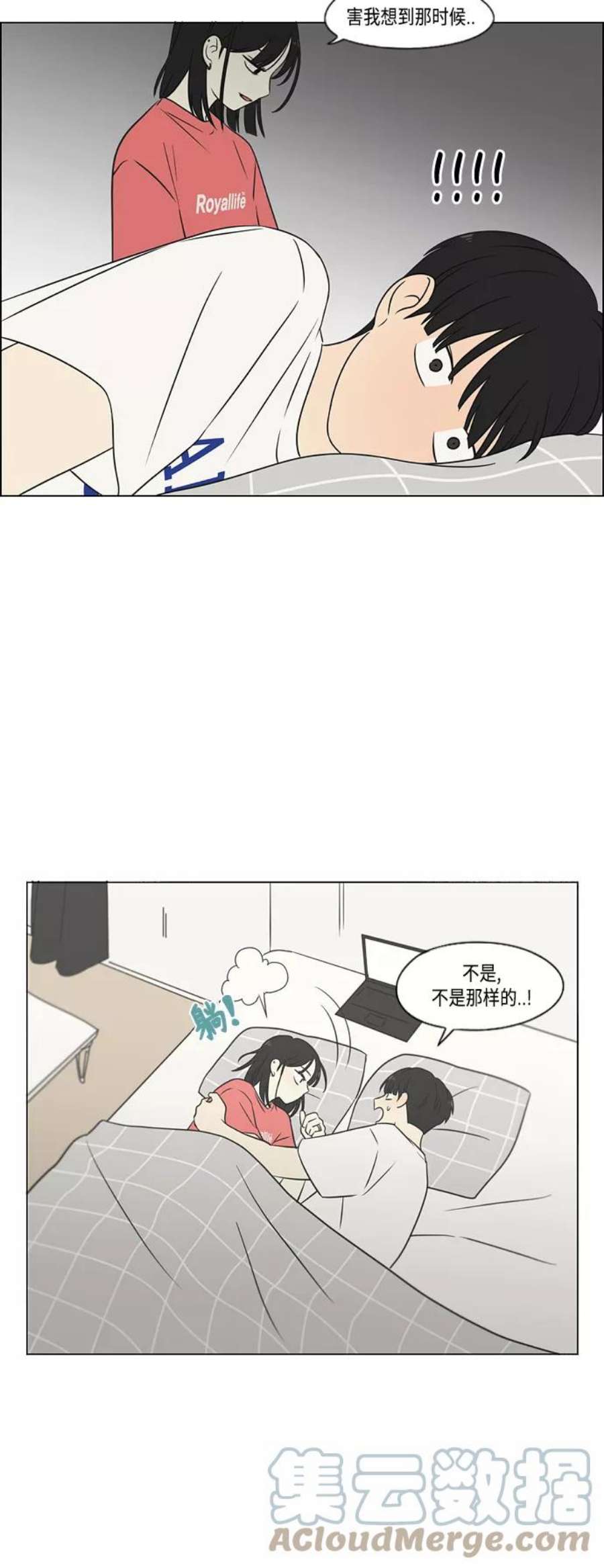 49.jpg