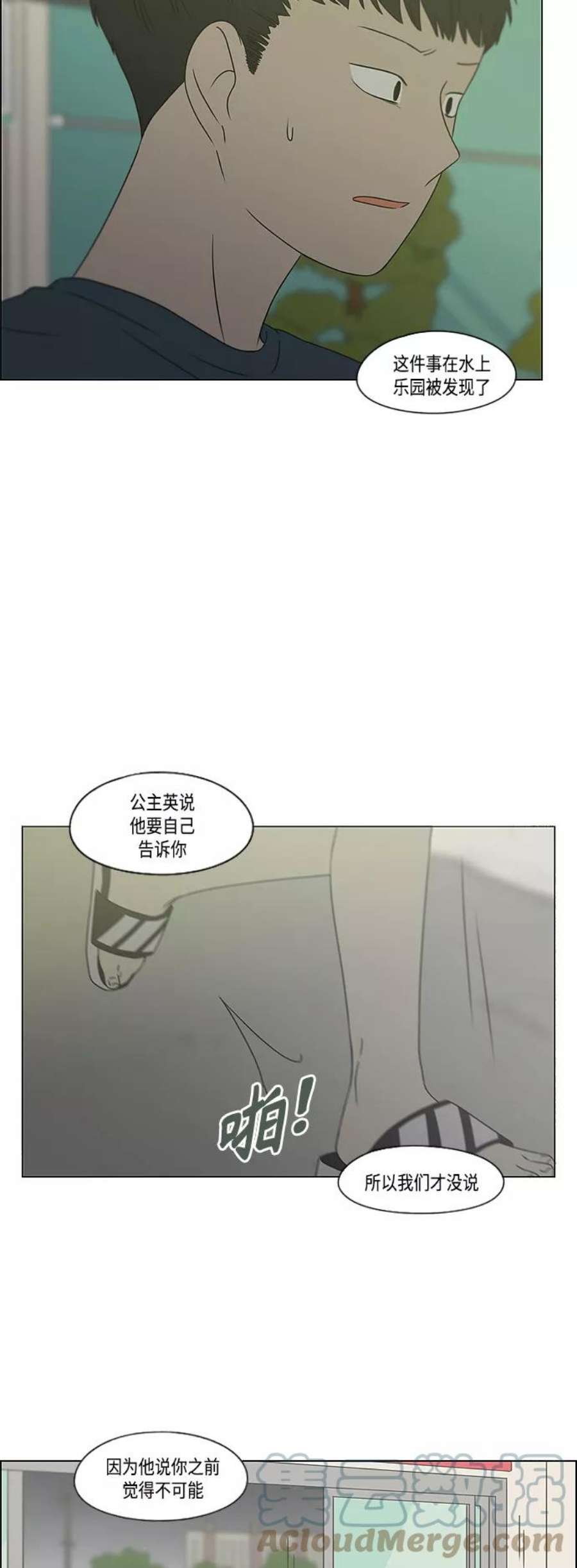 19.jpg