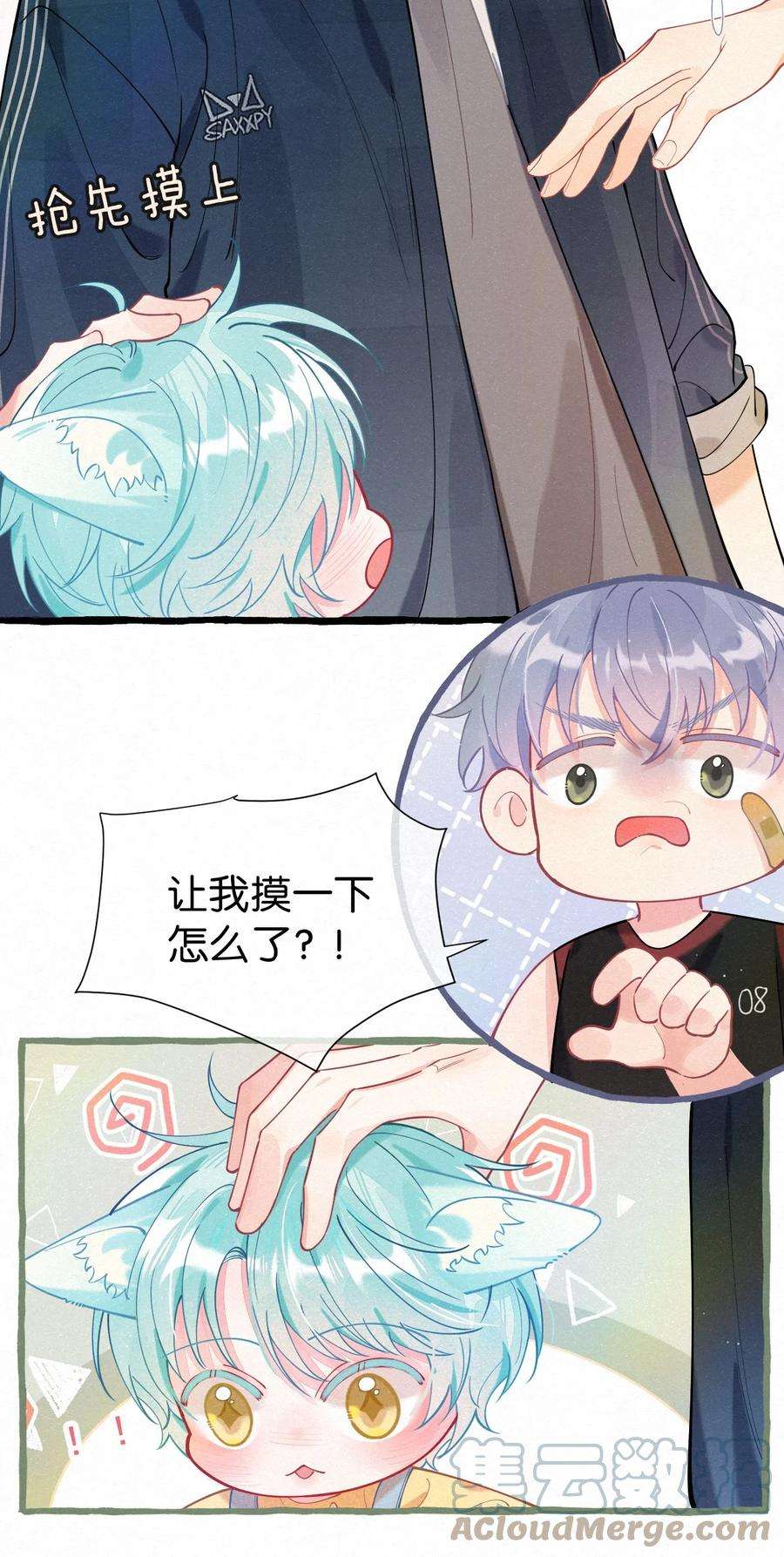 15.jpg