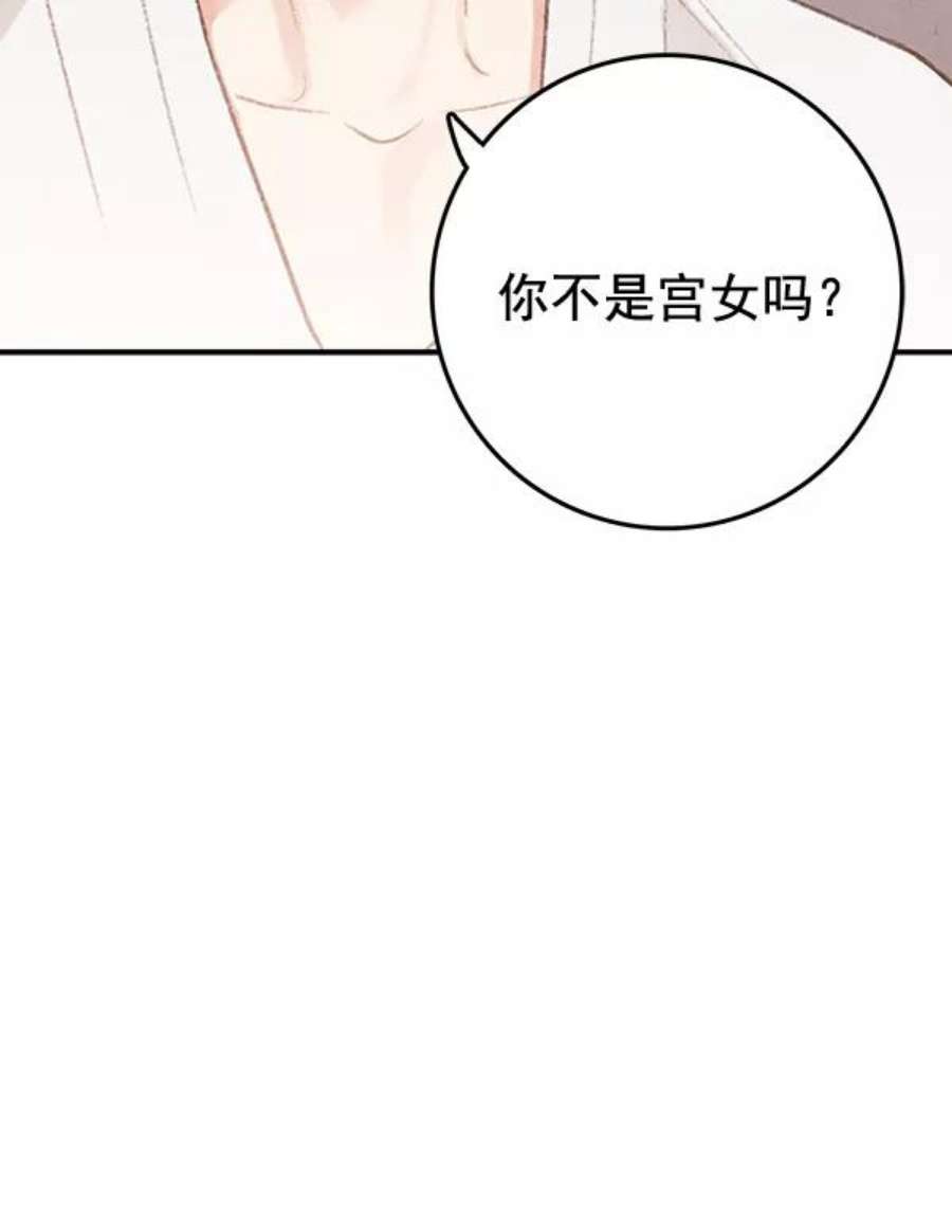 96.jpg
