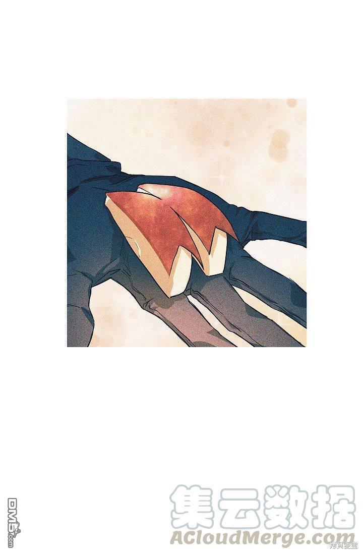 41.jpg