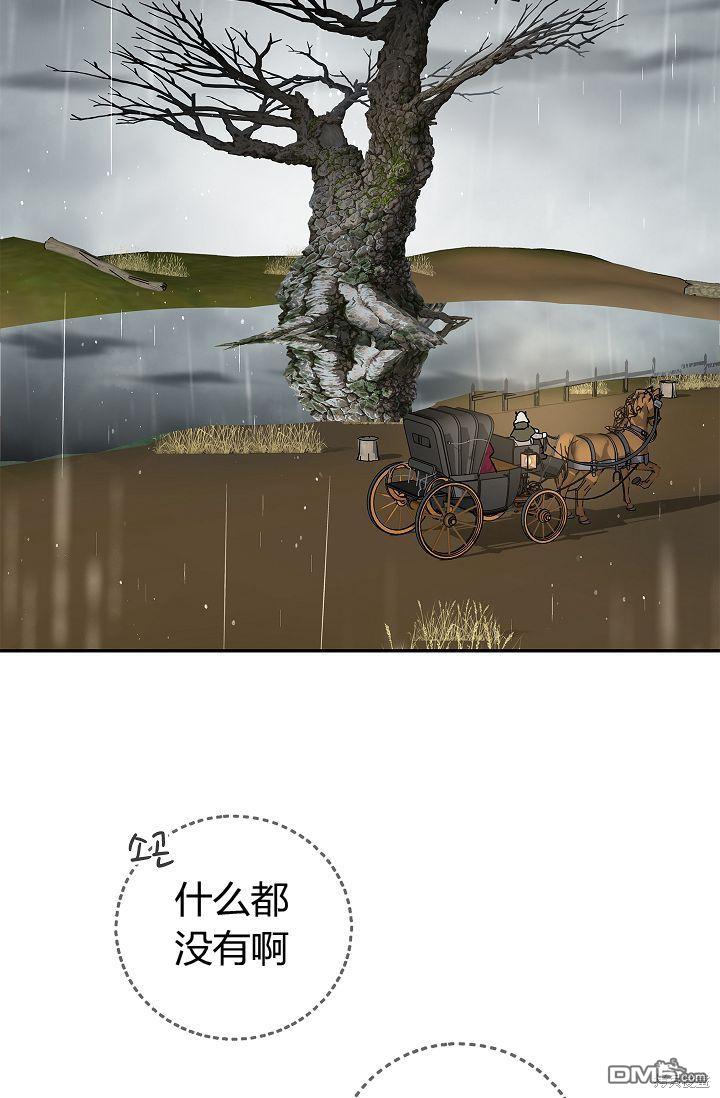 54.jpg