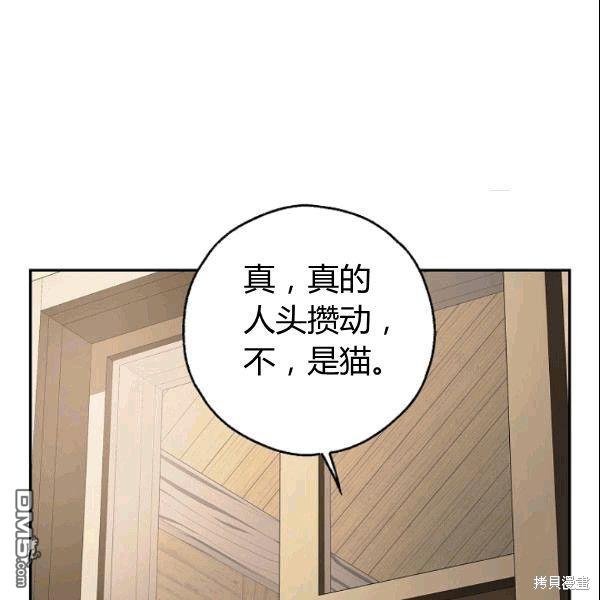 88.jpg