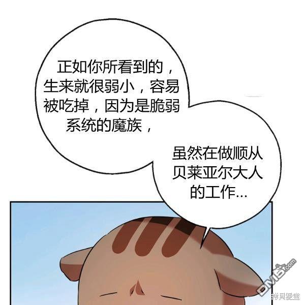 62.jpg