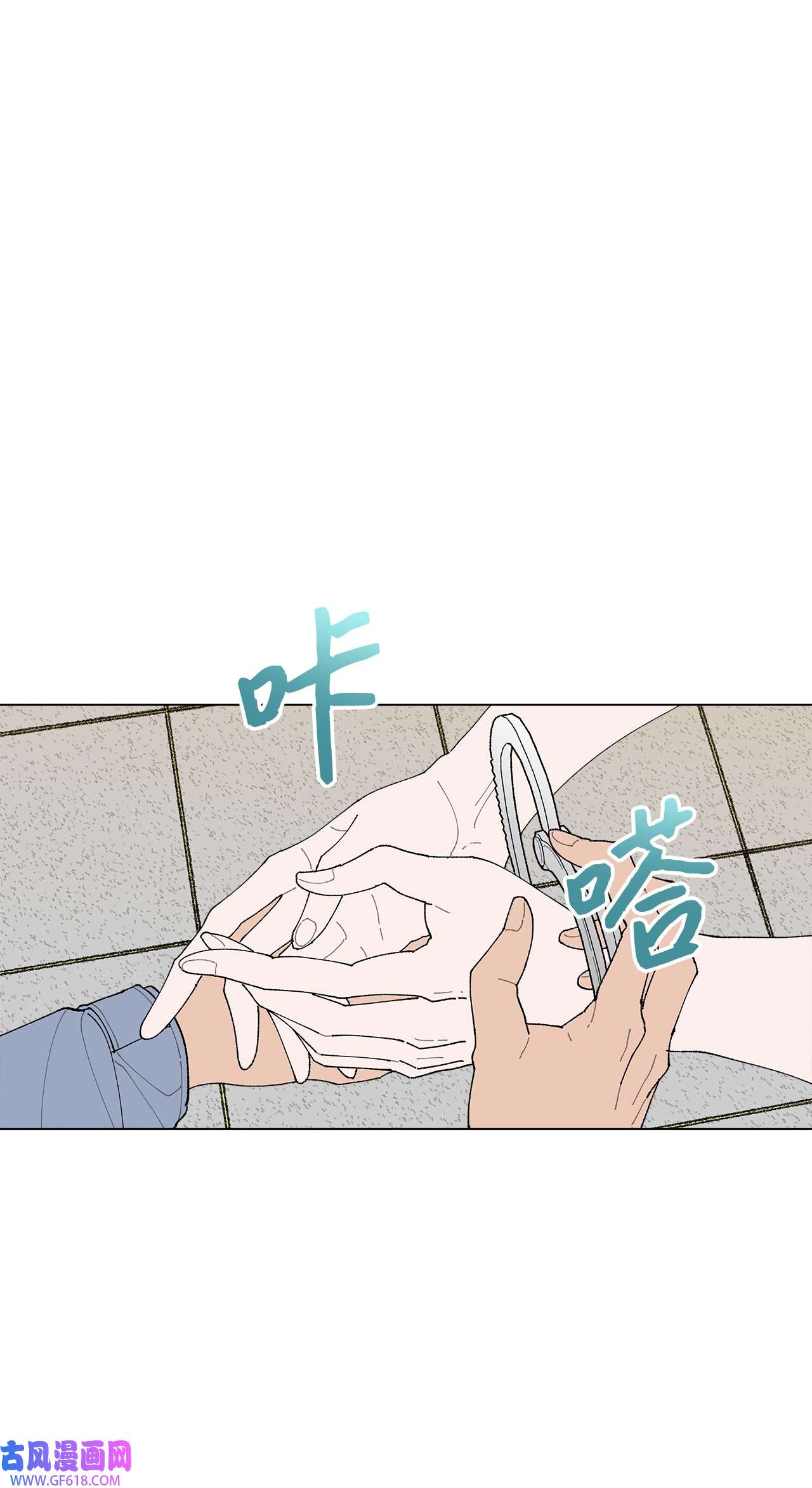 41.jpg