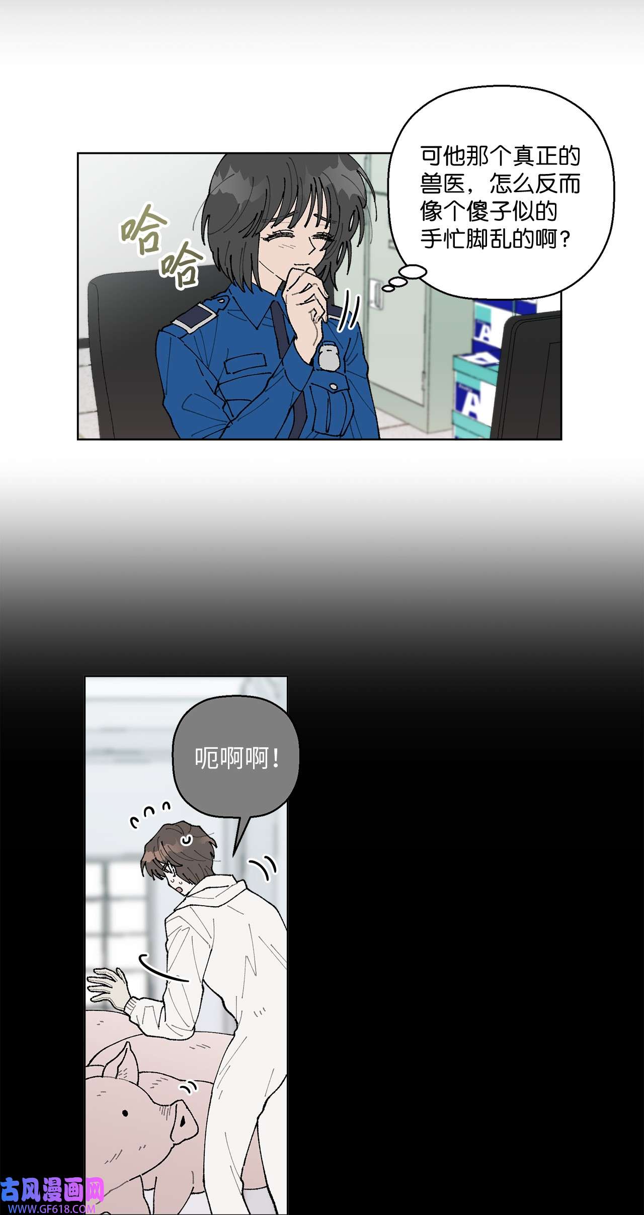 48.jpg