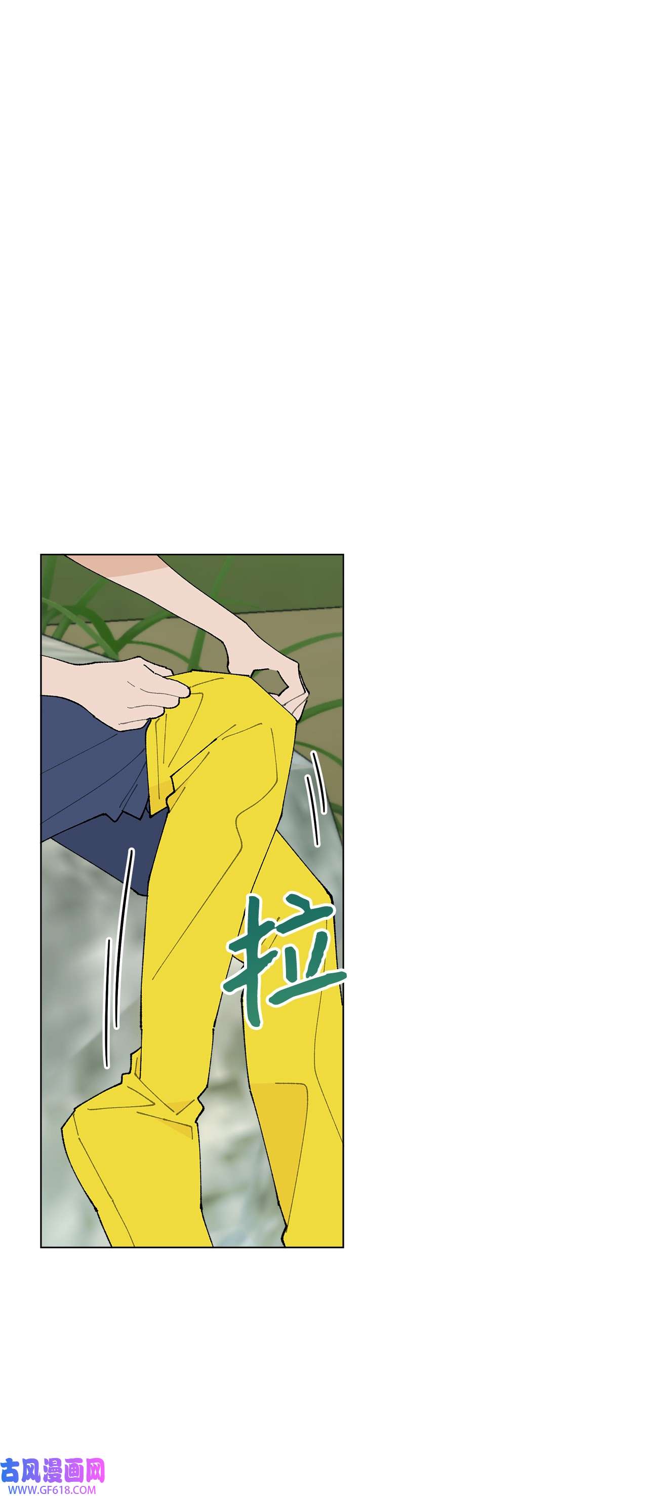 31.jpg