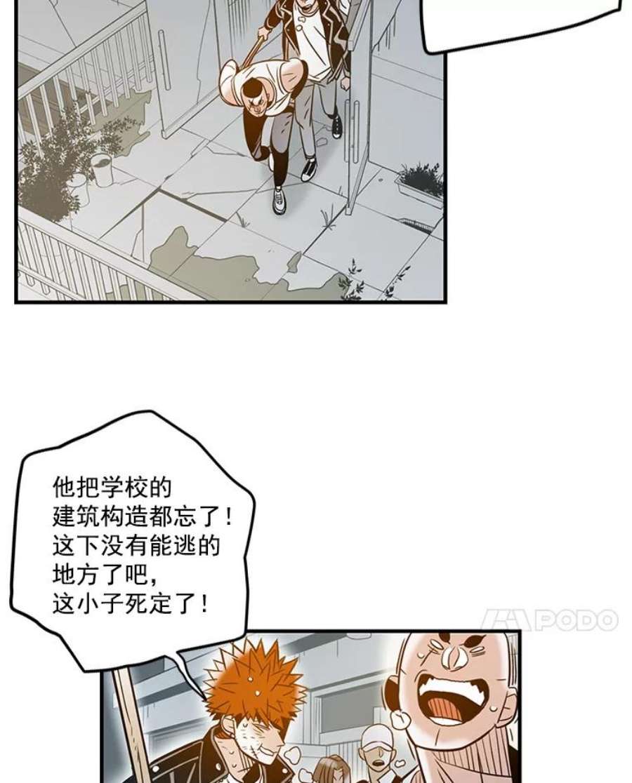 74.jpg
