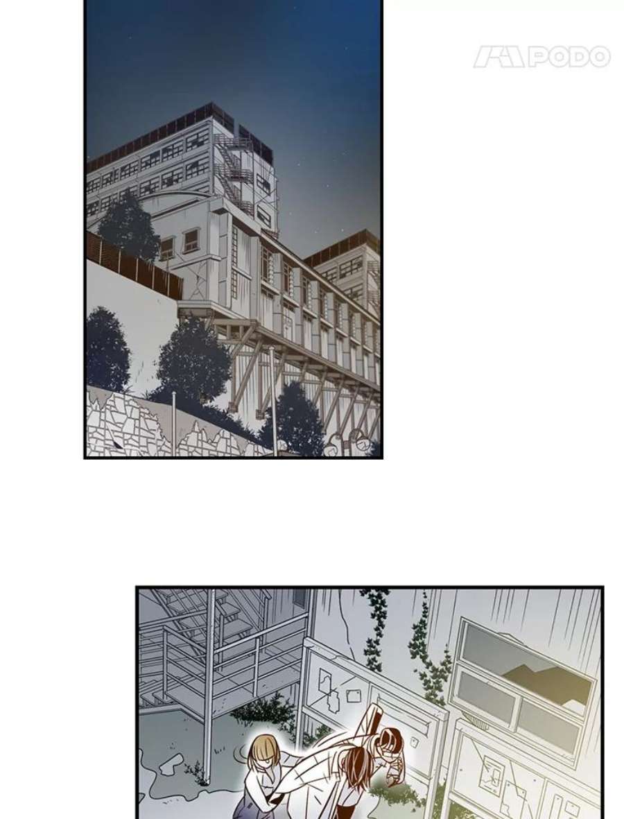 62.jpg