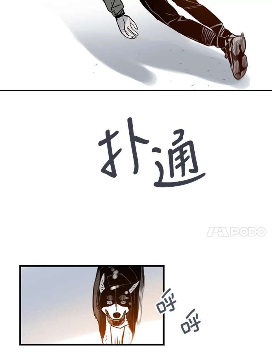 41.jpg