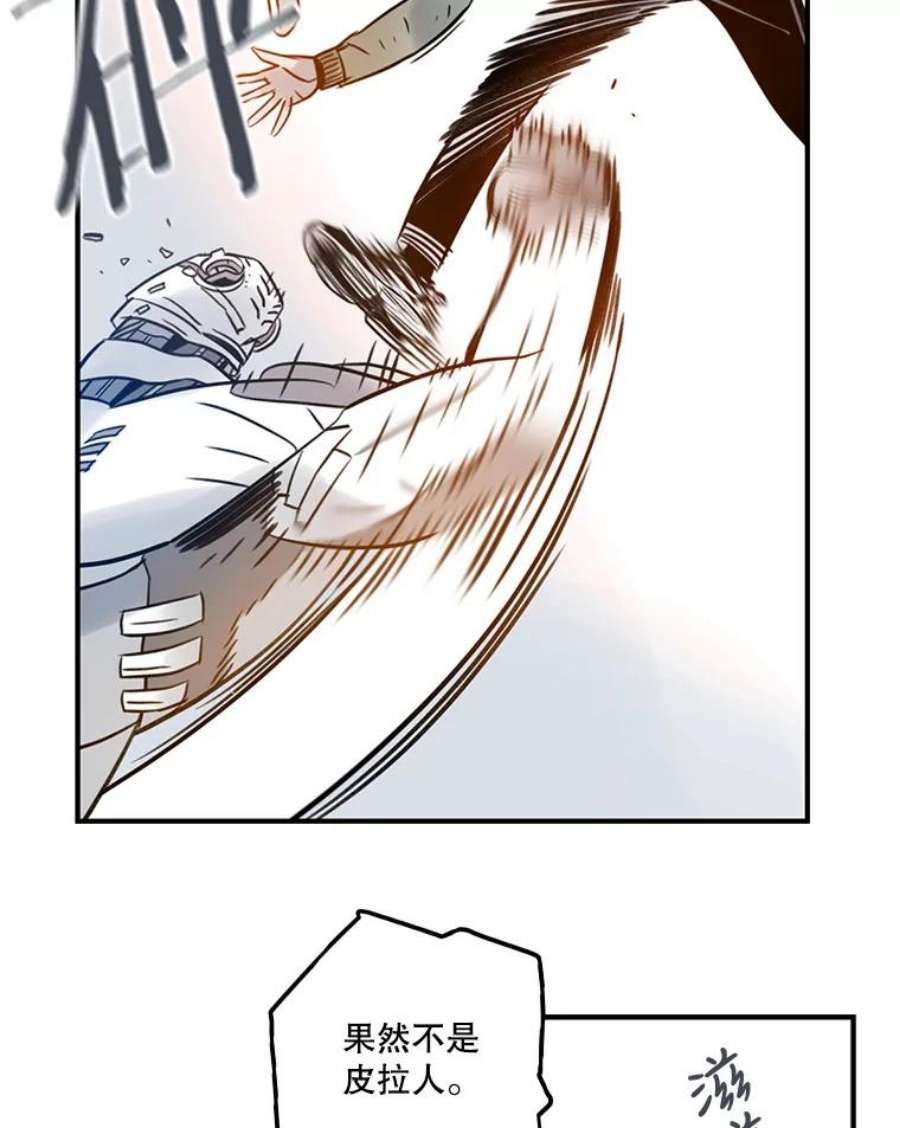 47.jpg