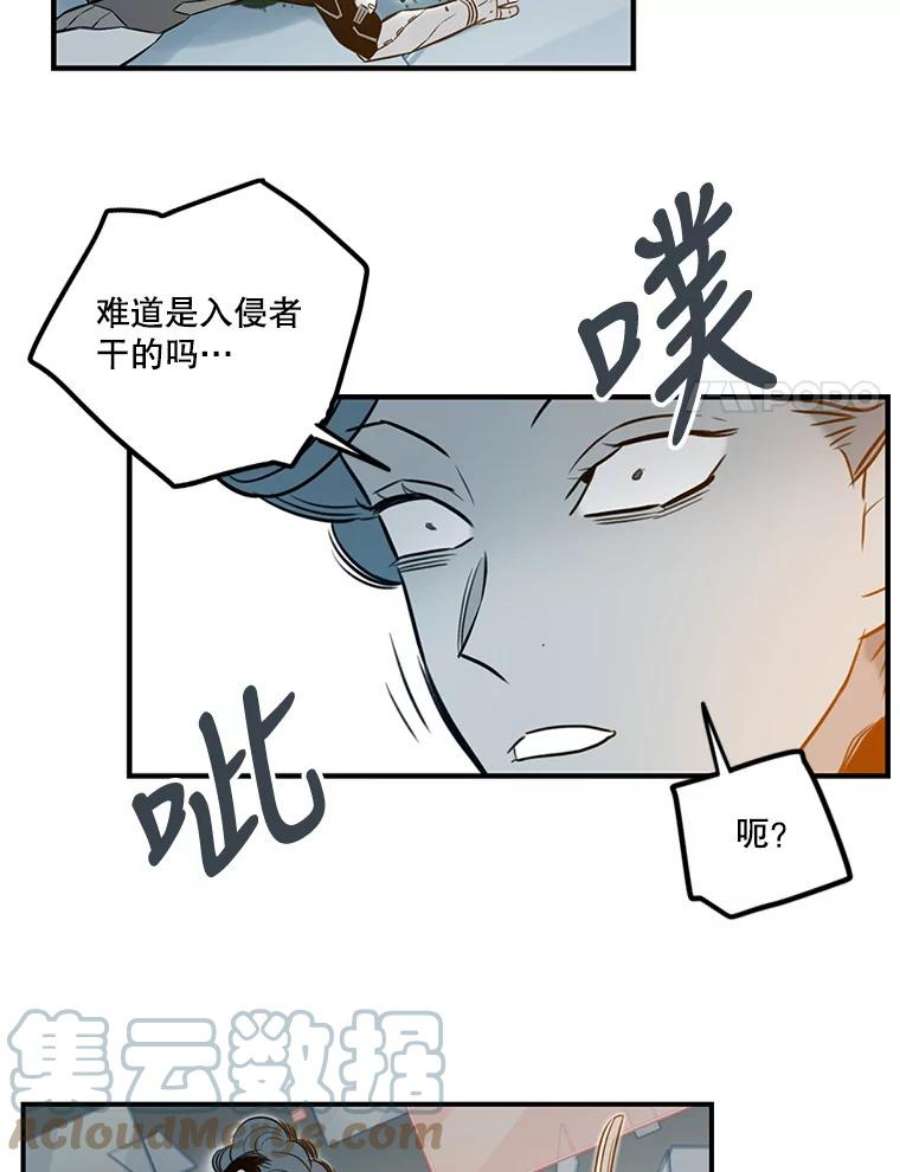 85.jpg