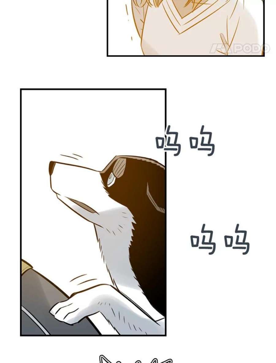 45.jpg